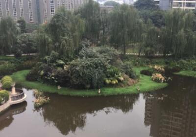 重庆市金英托老院环境图片