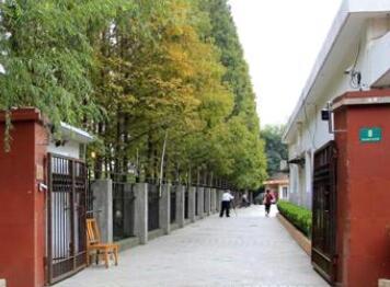 上海兰公馆养老院田林馆_上海徐汇区好的老年公寓,上海徐汇区好的老年公寓地址