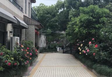 上海静安郁金香颐养园环境图片