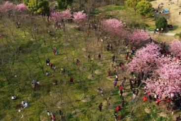 上海市宝山区杨行镇宝山敬老院