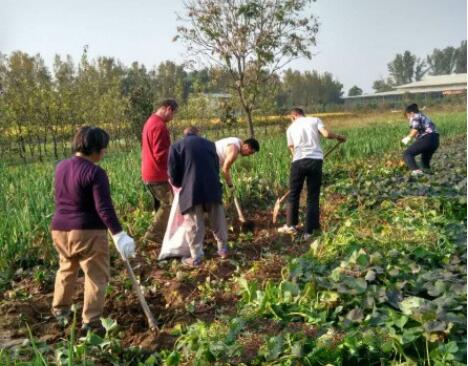 万福年华上庄照料中心环境