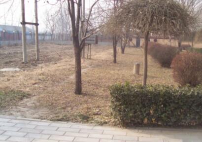 北京市通州区台湖镇敬老院环境图片