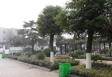 天津市和平区中环颐和养老院环境图片