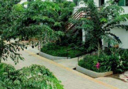海南省海口普亲养老院_海口3000元左右养老院,海口的养老院多少钱一个月