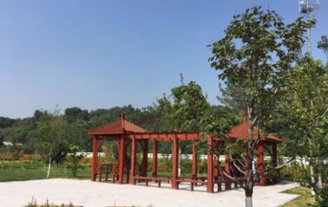 石家庄市老年养护院_石家庄医养结合养老院费用,石家庄市养老院收费是多少