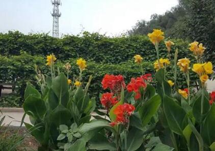 沈阳浑南区老年公寓有哪些？