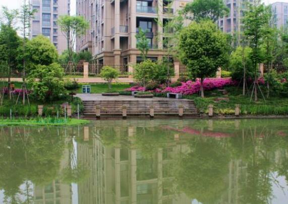 杭州江干区笕桥镇老年公寓环境