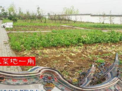 合肥市庐阳区金谷养老服务中心环境图片
