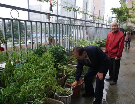 武汉市徐东社区大家庭养老院环境图片