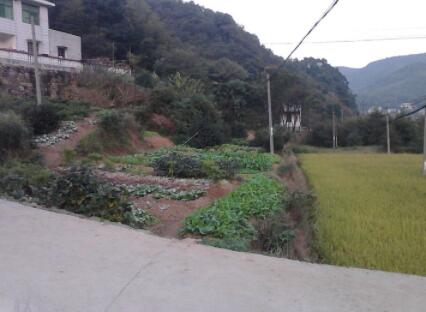 莲花镇闲人养老家庭式公寓_长沙民办老年护理院,长沙公立养老院排名