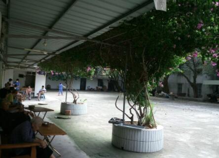 广州茂名市福林养老院环境图片