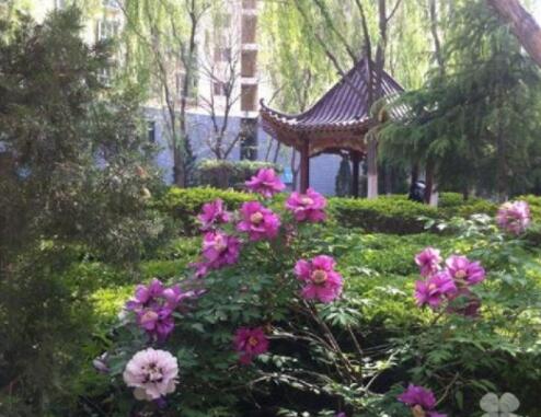 甘肃新阳光老年公寓_兰州养老院价位多少钱,兰州养老院价格多少