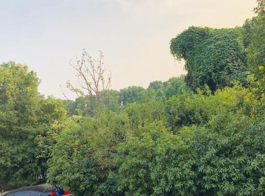 绍兴越城区鹤池苑老年公寓_绍兴口碑好养老院有几家,绍兴市有哪几家高档养老院