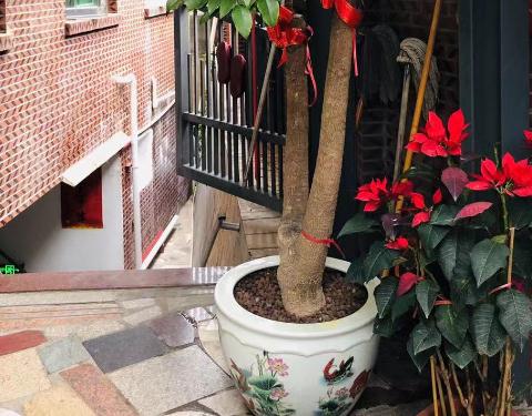厦门市思明区红日老年公寓环境图片