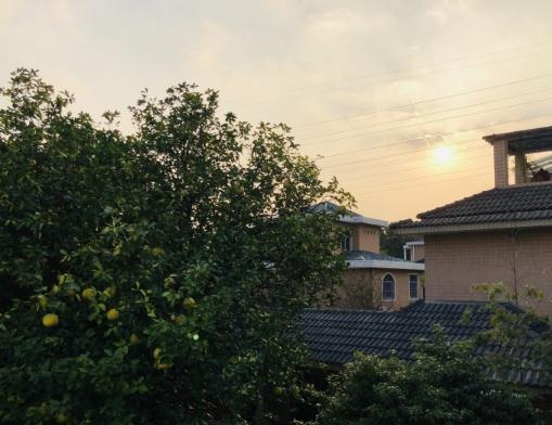 绍兴越城区鹤池苑老年公寓_绍兴正规养老社区名单,绍兴养老中心