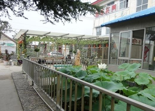 桓台县颐年托养院_淄博优质老年护理院,淄博最好的敬老院
