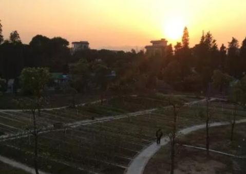 珠海曦之原候鸟度假养生养老基地_珠海低端养老院有几家,珠海市的养老院或老年公寓