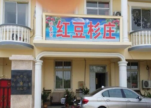  北戴河红豆杉癌症康养乐园_秦皇岛老年公寓,秦皇岛老年公寓多少钱一月