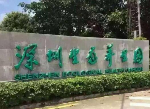 深圳市任达爱心护理院_深圳价格便宜养老院地址查询,深圳十大养老院地址