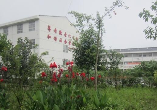 绵阳市游仙区常青藤颐养苑_绵阳高端养老院,绵阳高端养老院哪家好