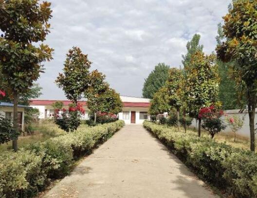 南阳健乐养老院_南阳老年痴呆照护养老院查询,南阳市老年活动中心在哪