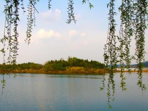 绵阳益康老年护理院_绵阳3000元左右老年公寓名单一览