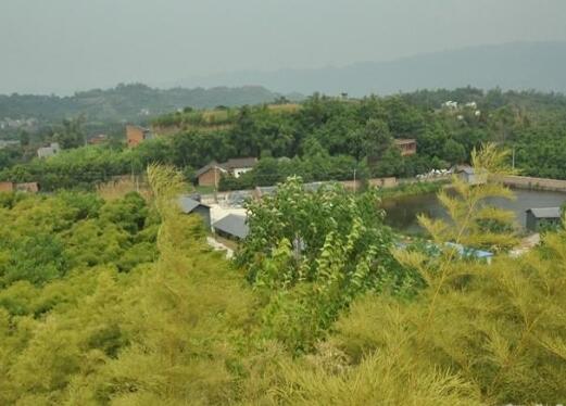 璧山区丁家养老院