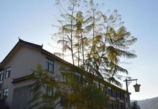 攀枝花市心颐康养服务有限责任公司_攀枝花6000元养老院,四川攀枝花养老圣地