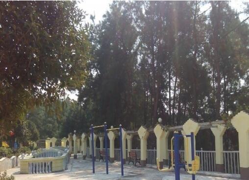 南充松鹤养老院_南充养老院费用,四川南充养老院在什么地方