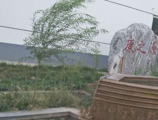沧州康之源老年公寓_沧州口碑好养老院地址在哪,沧州市养老院地址详询