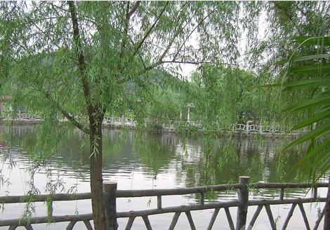 晋江市龙湖镇养老院环境图片