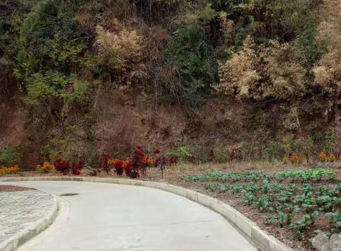 黄冈市桂花园养老公寓环境图片