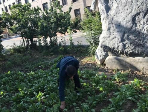 大连西郊养老院环境图片