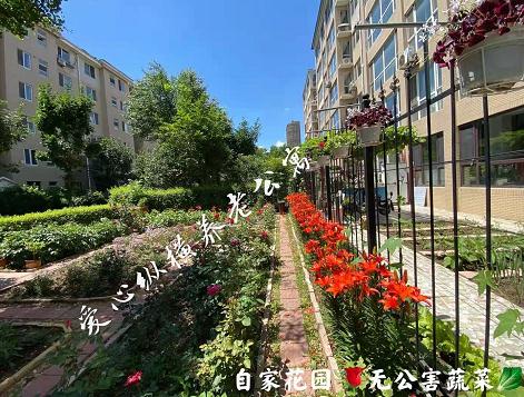 爱心纵横居家养老电话、地址、价格等