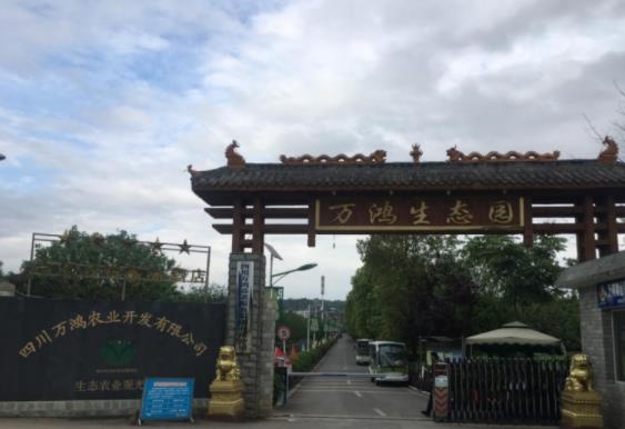 绵阳市游仙区万鸿颐养院_绵阳4000元养老院地址
