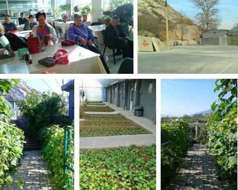 北京市昌平区后花园养老服务中心环境图片