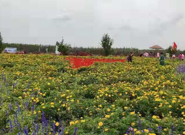 吉林市丰满区亿森林养老院_吉林市老年护理院有哪几家,吉林市敬老院地址查询
