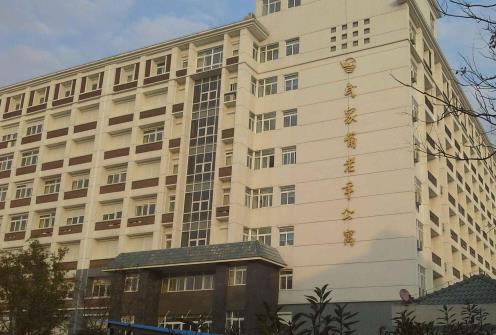 南京武家嘴老年公寓_南京连锁老年护理院地址,南京连锁老年护理院地址查询