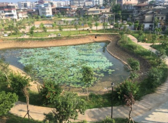 梅州市梅江区鸿福老年公寓环境图片