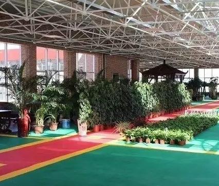 滨河养老医疗文化院环境图片