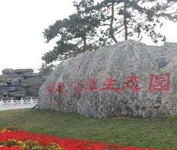 保定市红福园养老院_保定5000元左右养老院地址在哪
