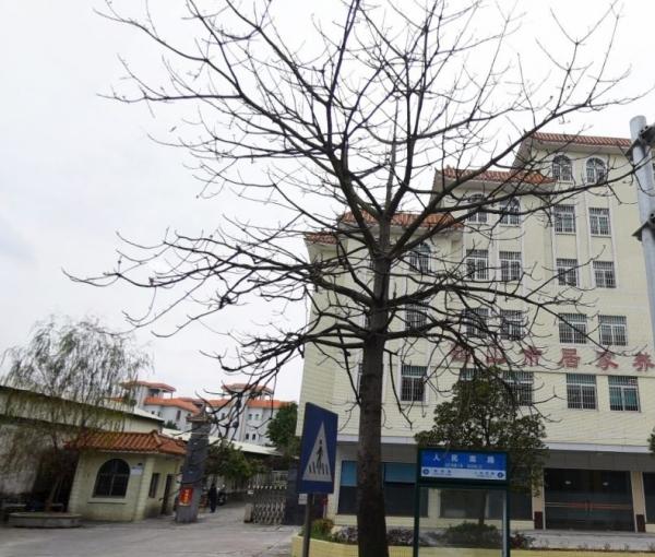 江门市鹤山市社会福利中心_江门正规养老院排名前十,江门正规养老院排名前十名