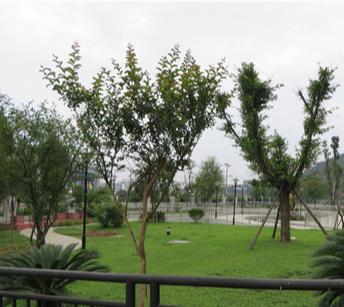 绵阳市中心社会福利院_绵阳性价比高的老年公寓费用,绵阳养老院电话号码