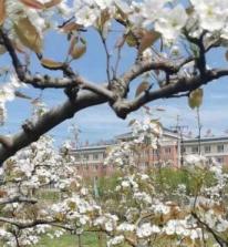 丹东市振兴区智慧康养中心_丹东民办养老院,丹东民办养老院有哪些