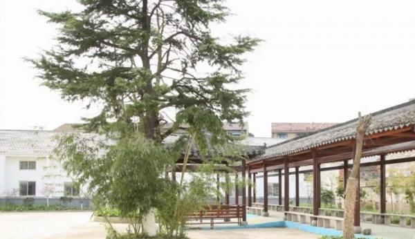 祥颐苑护理院_无锡正规养老院收费标准
