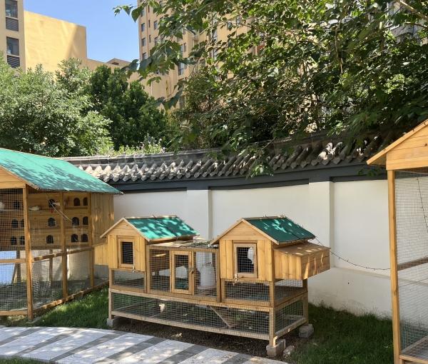 乐仁·恒颐康养护理中心（乐仁堂旗下）_石家庄失能老年公寓,石家庄失能老年公寓地址
