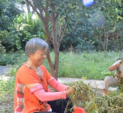 湖北省仙桃市双缘敬老院环境图片