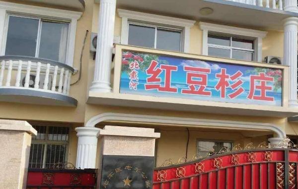 北戴河红豆杉癌症康养乐园_秦皇岛包吃包住老年公寓,秦皇岛老年人活动中心