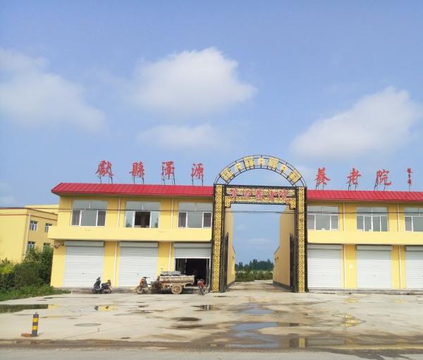 沧州豪华养老院有几家,沧州市区养老院有几家