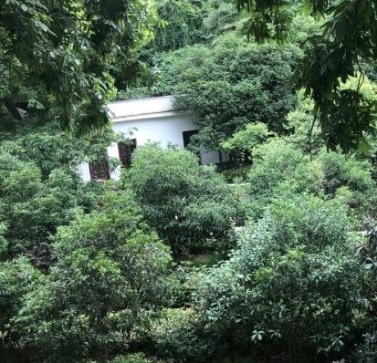 月湖康养中心_武汉价格便宜老年公寓,武汉价格便宜老年公寓在哪里